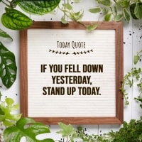 Quote - Instagram Post - 1080x1080px